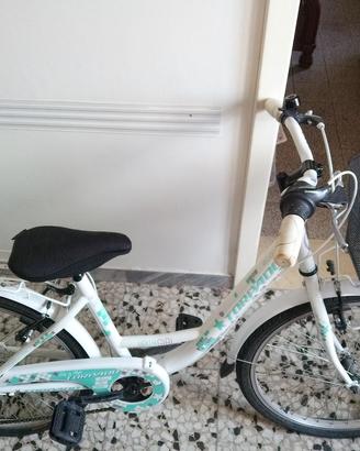 Torpado Kelly 24" (modello T611). 