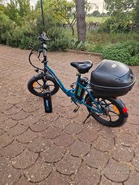 Bici a pedalata assistita con 2 batterie 250 watt