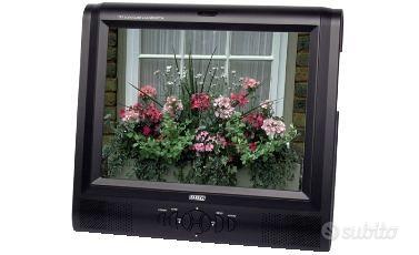 TV GBC  10,4 POLLICI