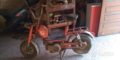 MotoBi Altro modello