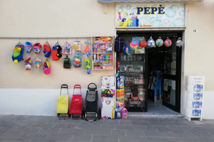 Attività commerciale