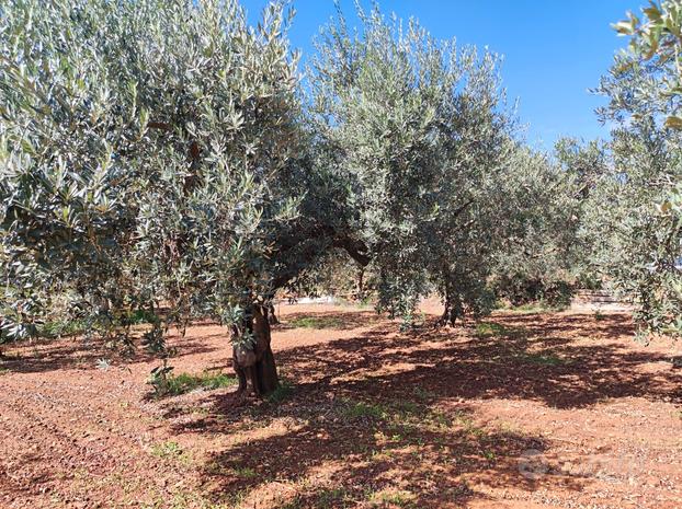 Fondo agricolo, cambio vita no-stress