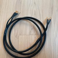 Cavi di potenza hi-fi per biwire