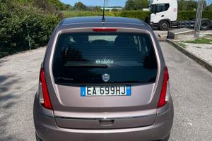 Lancia musa GPL