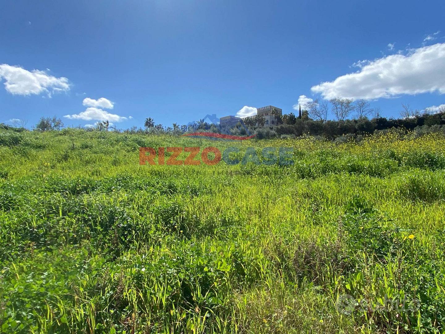 Terreno edificabile - Mandatoriccio - Vista 3