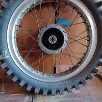 ruote x moto regolarità Fantic swm KTM ancillotti