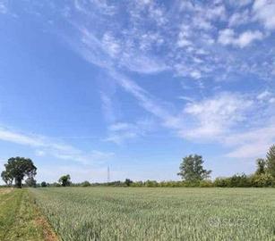 Immobile in asta di 24326 m² a Remedello
