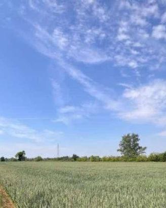 Immobile in asta di 24326 m² a Remedello