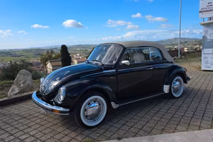 Maggiolino Cabrio 1976