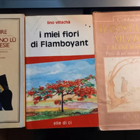3 libri la chiamavano Lu,i miei fiori di flamboyan