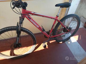 Mountain bike