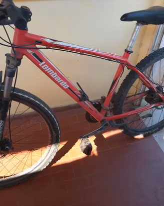 Mountain bike