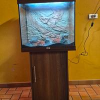 acquario