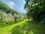 Immagine 14