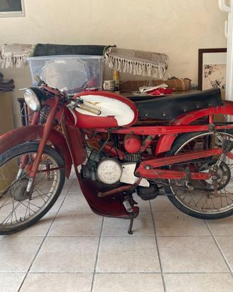 Moto Guzzi Cardellino 73