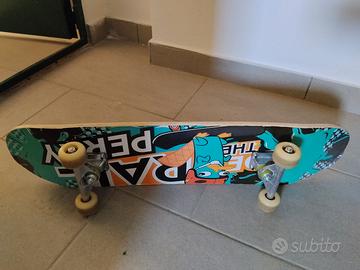 Skateboard