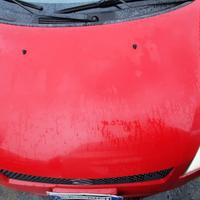 SUZUKI SWIFT 2005 - COFANO ANTERIORE