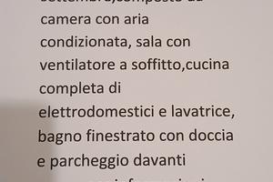 grazioso Trilocale 