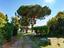Immagine 7