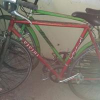 bicicletta vicini da corsa vintage.