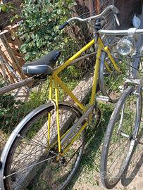 bici da passeggio 