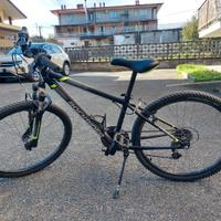 bici mtb rockroder