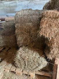 Balline di fieno