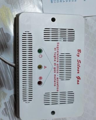 Rilevatore di gas allarmato 