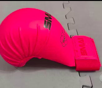 Guanti karate e parastinchi