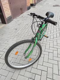 Mountain bike adulto 