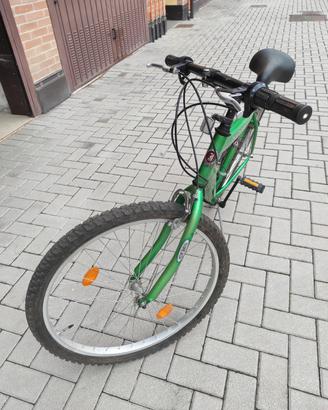 Mountain bike adulto 
