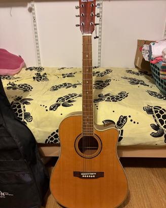 Chitarre classica e acustica + custodie