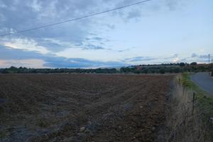Terreno agricolo seminativo