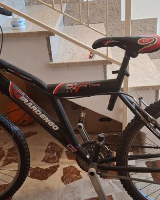 bici unisex