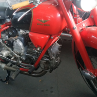 Guzzi falcone