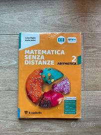 Matematica senza distanze 2 media
