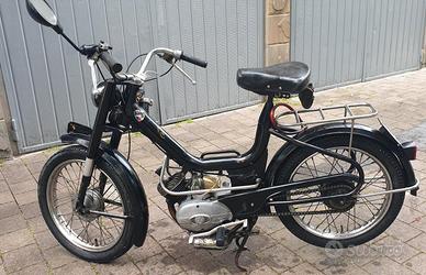 Motorino Oscar Mister College