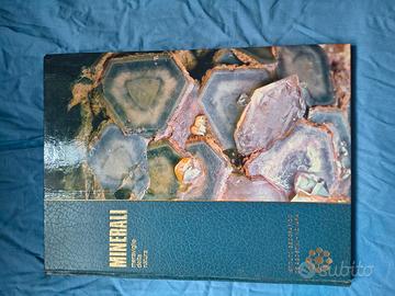 minerali e fossili libro 