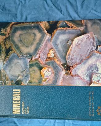 minerali e fossili libro 