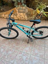 Bicicletta rockeider