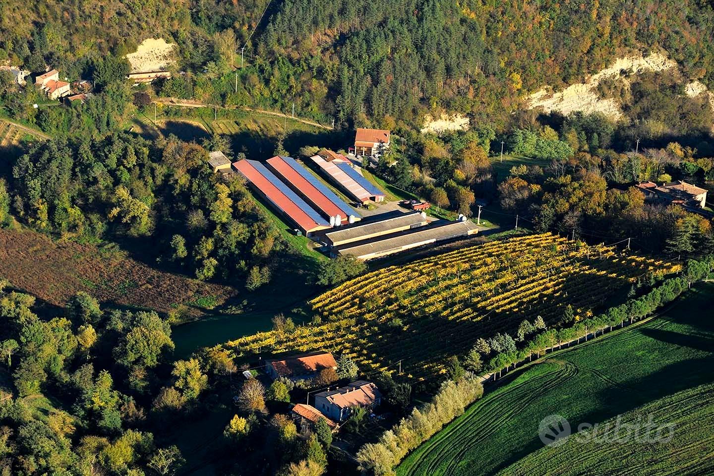 Art, 230000 m²