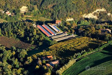 Azienda agricola con fabbricati - Casola Valsenio