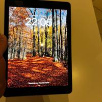Ipad sesta in generazione 128 gb