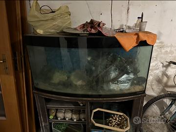 Acquario Usato