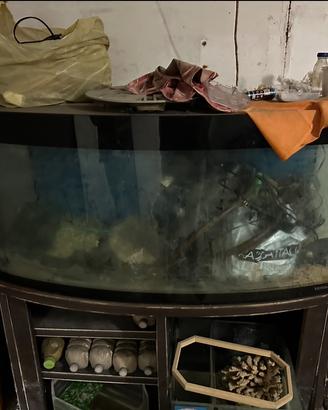 Acquario Usato