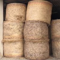 Balloni di erba medica primo sfalcio di 4,5q