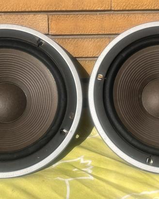 Pioneer