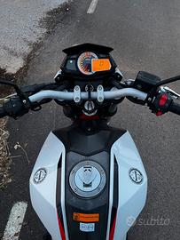 Benelli - BN251