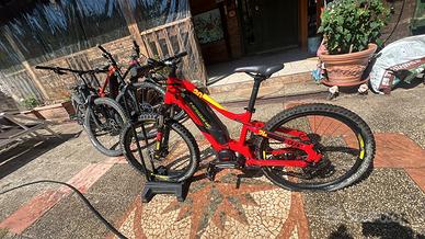 Ebike 24 haybike