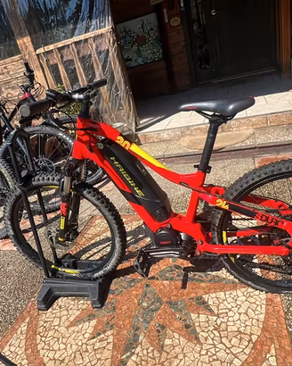 Ebike 24 haybike